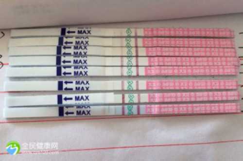 2026年毕节供卵与试管婴儿医院指南及贵州成功率排名