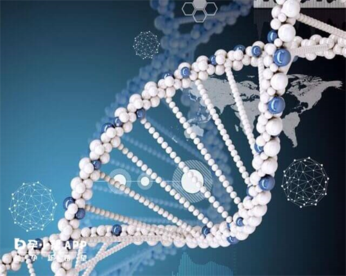 供卵试管生男孩费用解析与机构选择指南