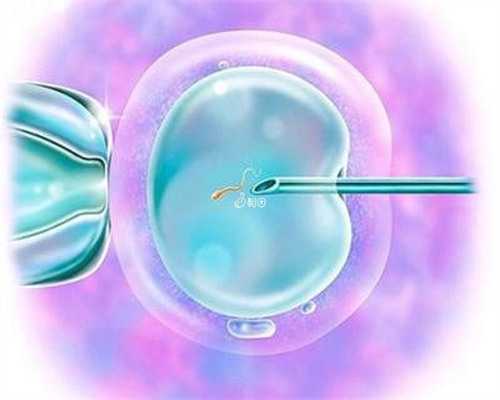 俄罗斯三代试管婴儿供卵代怀机构排名解析与推荐