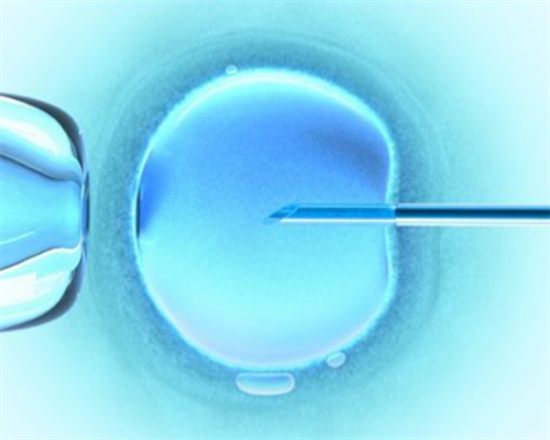 子宫光滑是否影响试管婴儿成功率？详细解析与应对措施